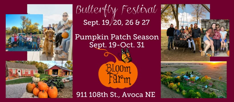Avoca Butteerfly festival