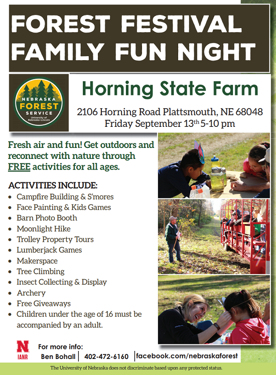 Forest Festival Fun Night 0913